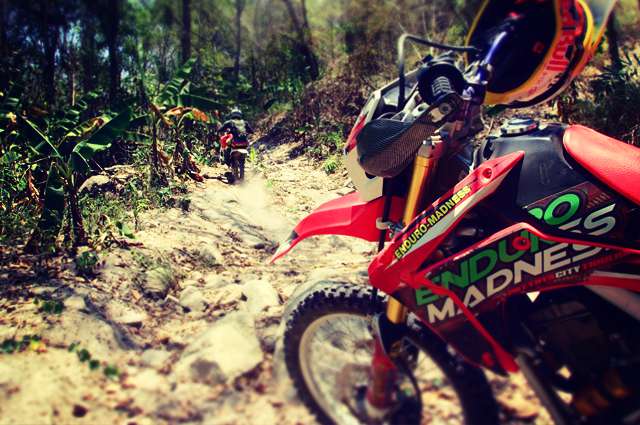 8 DAYS & 7 NIGHTS TOUR